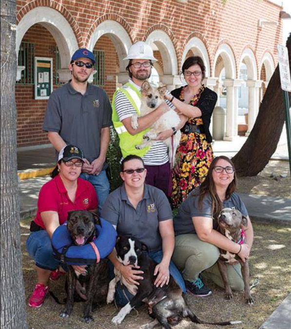 Cover Story: Pima Animal Care Center; Past, Present & Bright Future - The  Tucson Dog