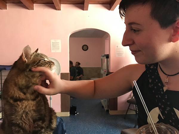 PAWSitively Cats No-Kill Shelter 1st Annual Pop-up Cat Café