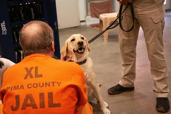 Pima County Sheriff’s Therapy Dogs Making a Difference in  our Community
