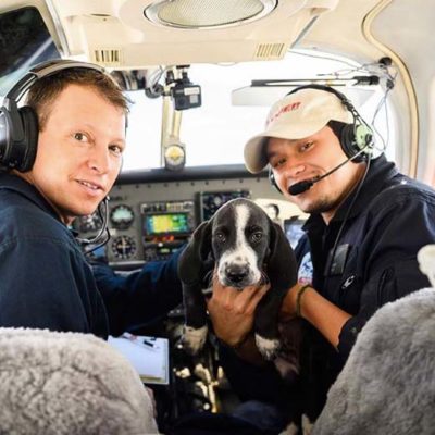 Pilots to the Rescue: When Pets Fly