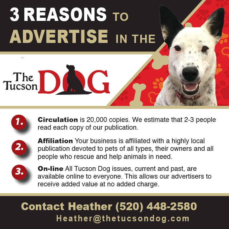 Advertising with Tucson Dog