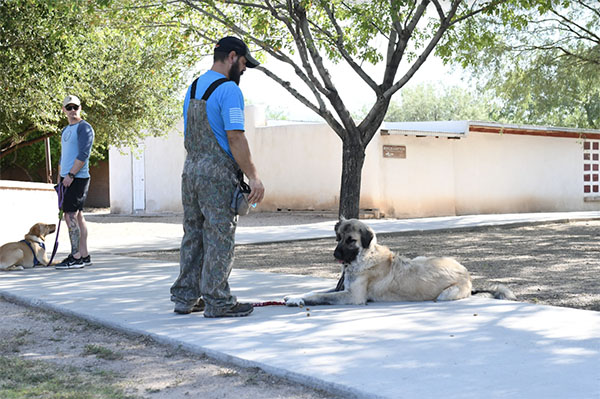 Soldier’s Best Friend, Helping Veterans Live Better Lives with the Support of Furry Friend