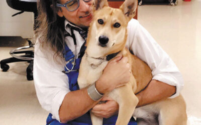 Holistic-Pet-Care-#3-Dr.-Mark-Restey