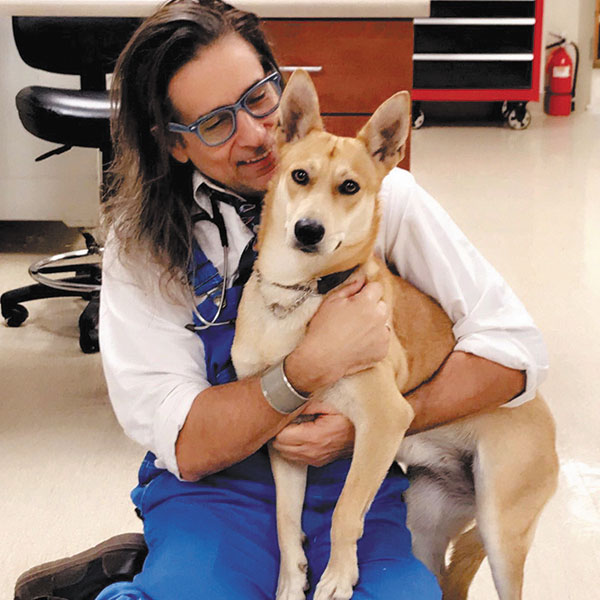 Holistic Pet Care is on the Rise in Tucson - The Tucson Dog