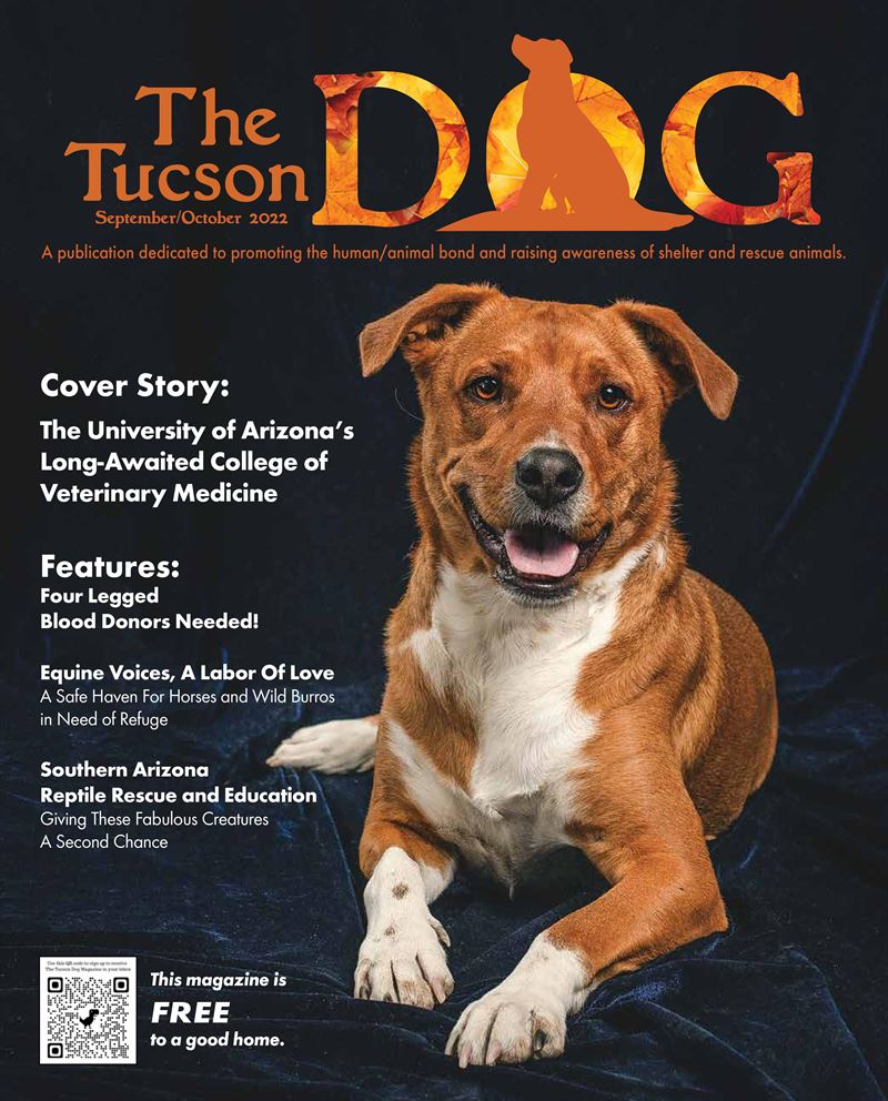 Tucson Dog-NovDec_cover compressed
