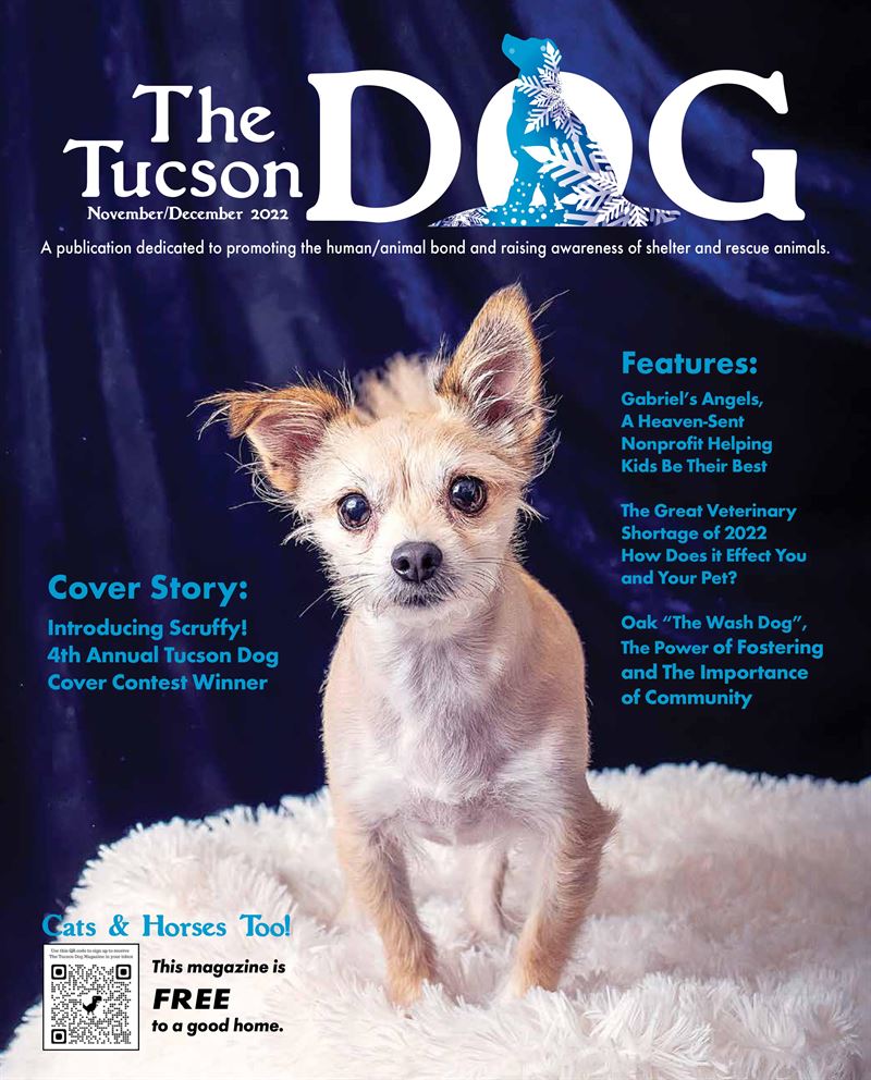 Tucson Dog-NovDec_cover compressed