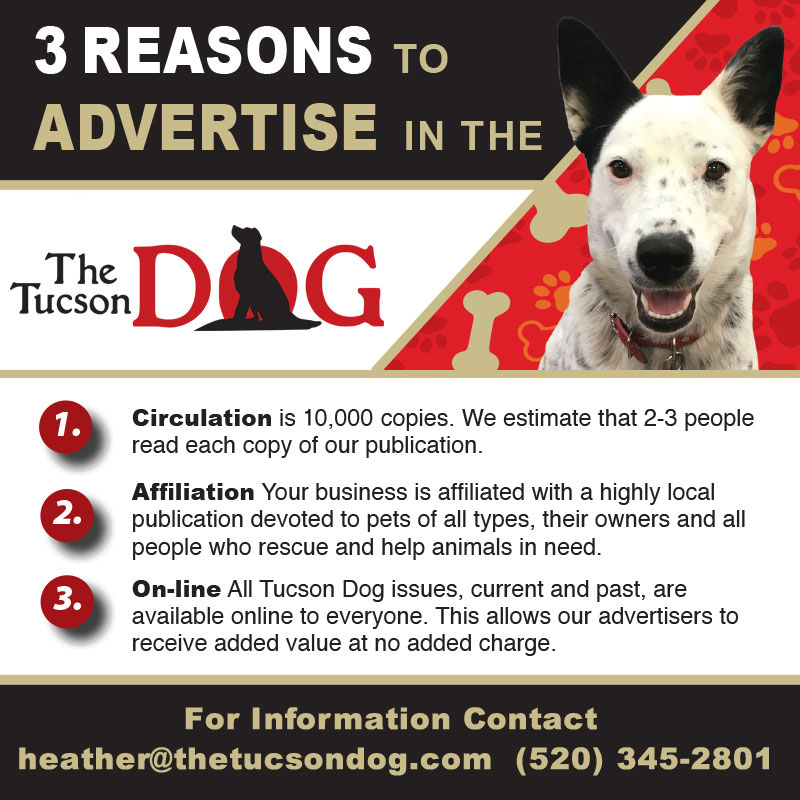 Advertise in Tucson Dog