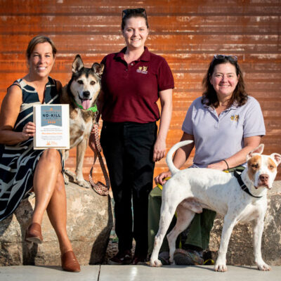 Pima Animal Care Center Celebrates Life-Saving Milestone and Looks to Future