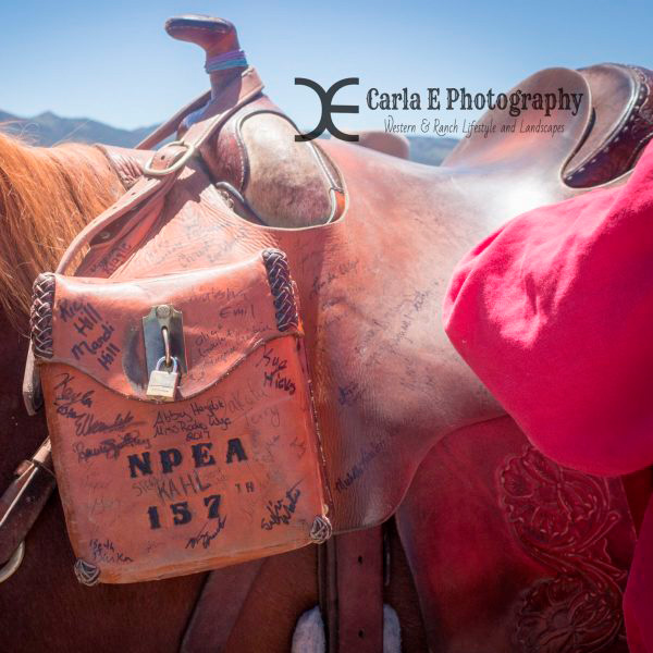 Keeping Tradition Alive: The Pony Express Rides Again!