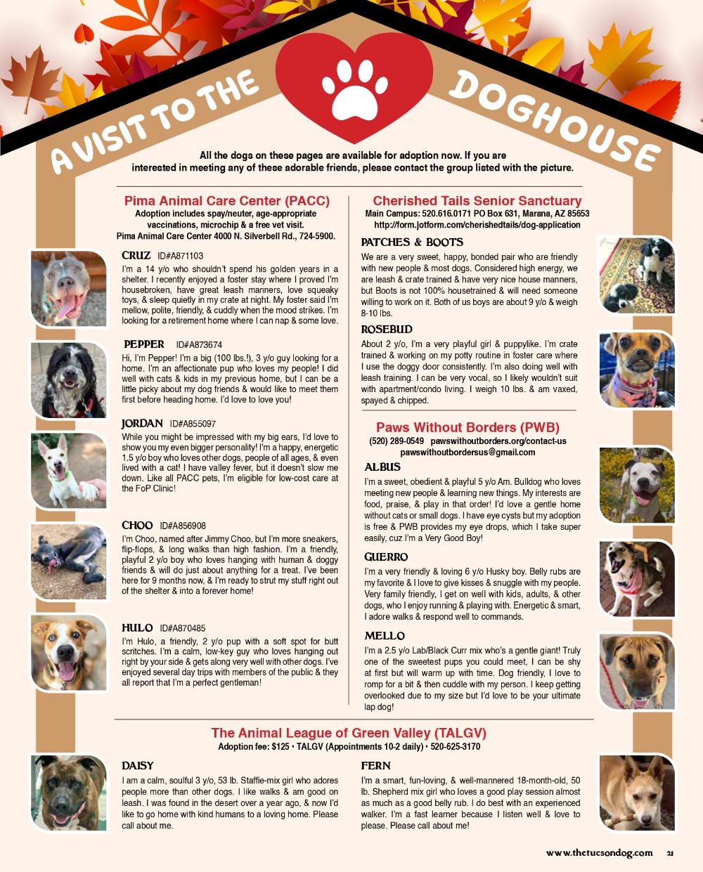 A Visit To The Dog House September Oct 2025