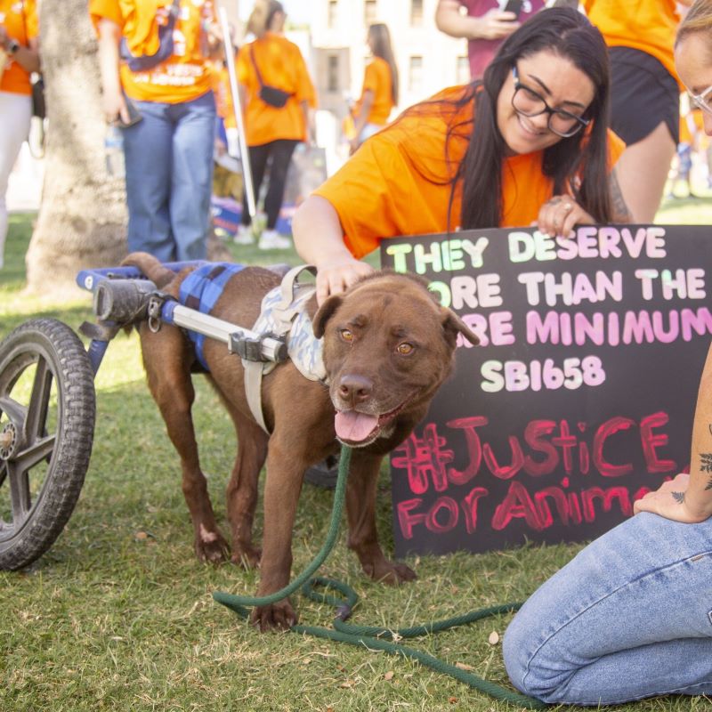 Jerry’s Law: An AZ Welfare Bill With Teeth