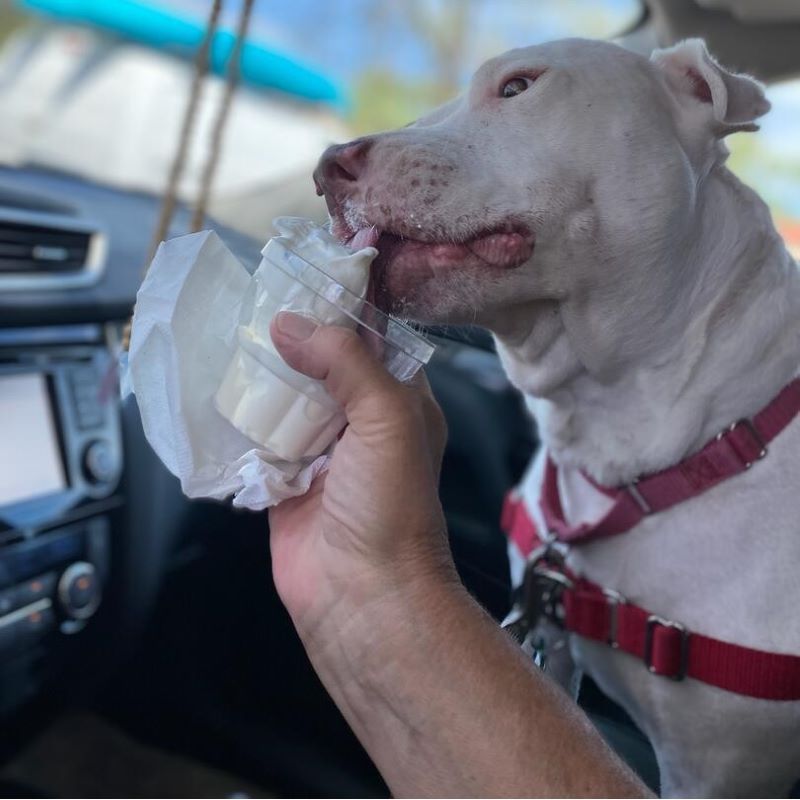 TALGV Starr having ice cream