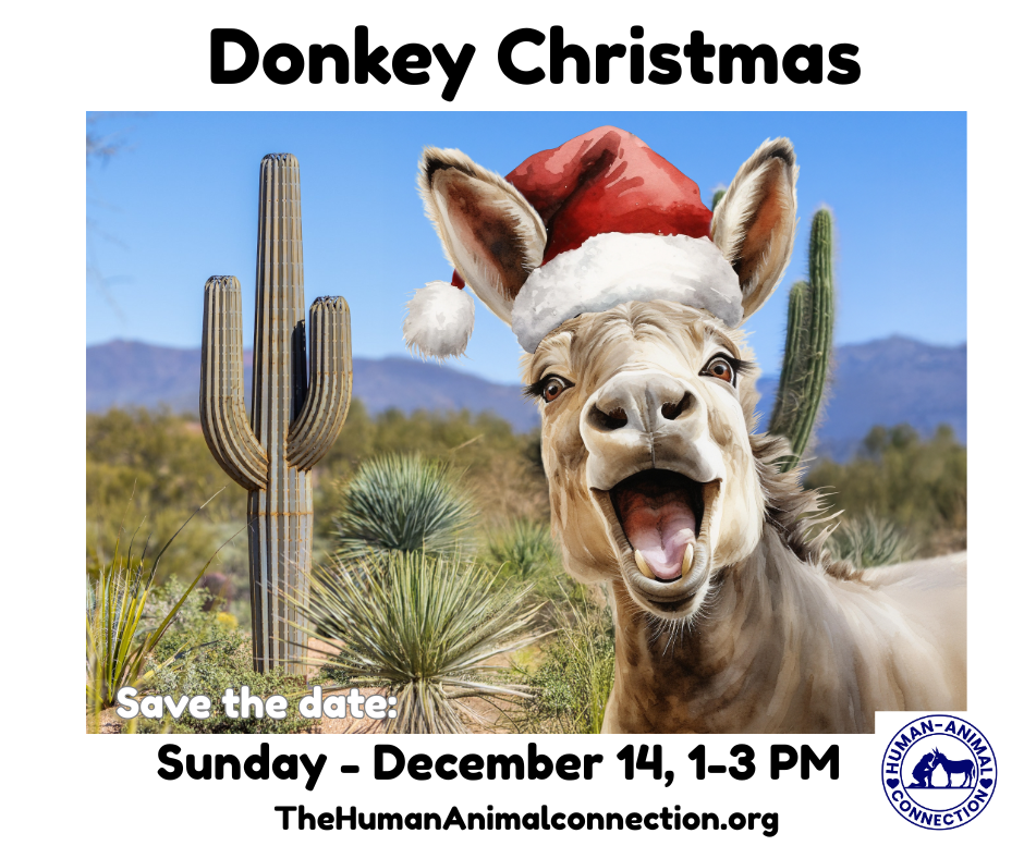 Donkey Christmas