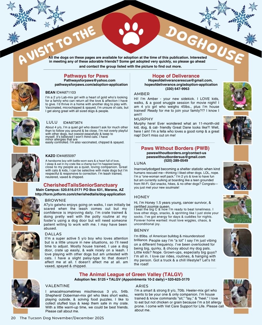 The Tucson Dog NovDec In The Dog House 2025 A Visit To The Dog House September Oct 2025