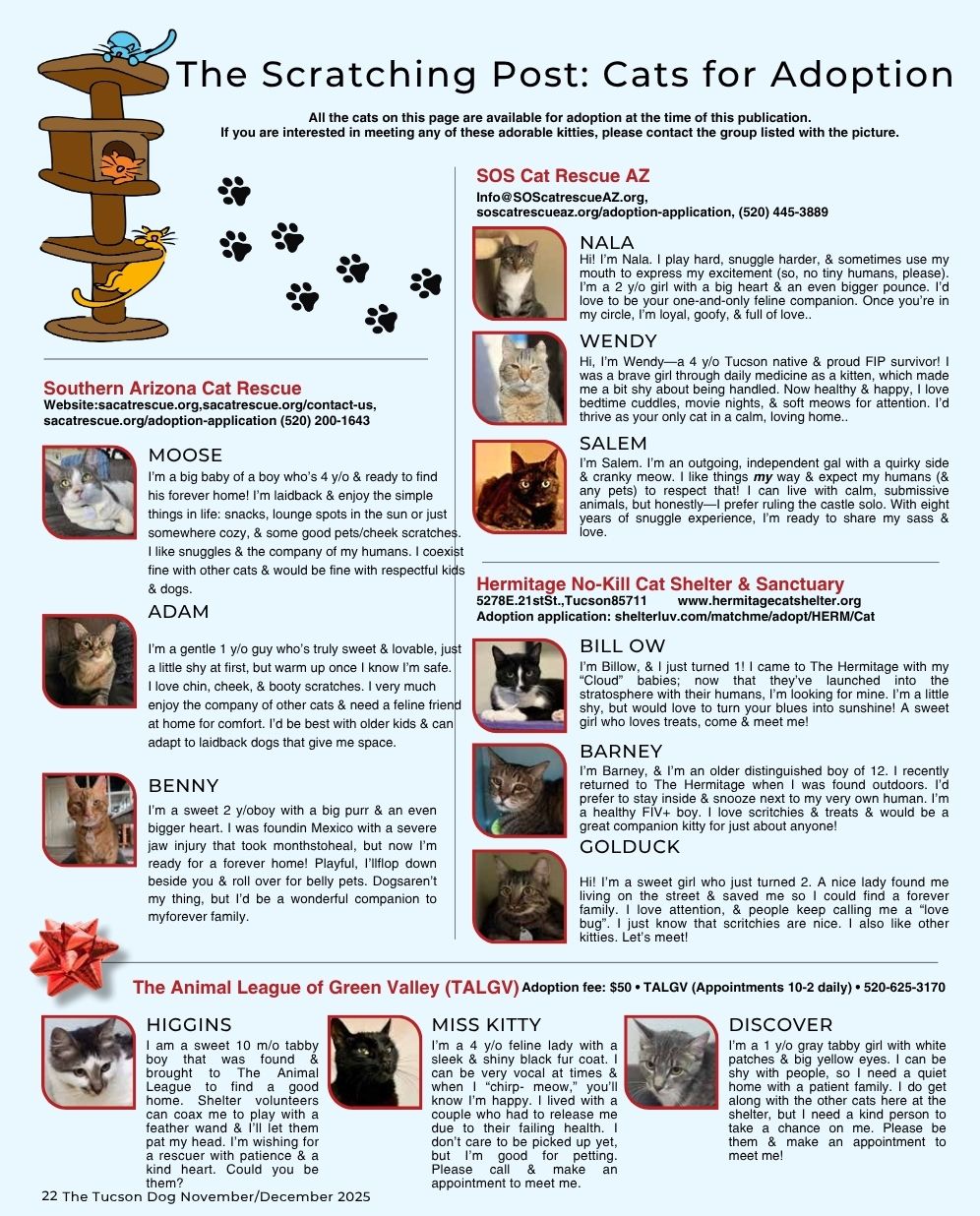 The Tucson Dog NovDec Scratching Post 2025.jpg The Scratching Post Cats For Adoption September 2025