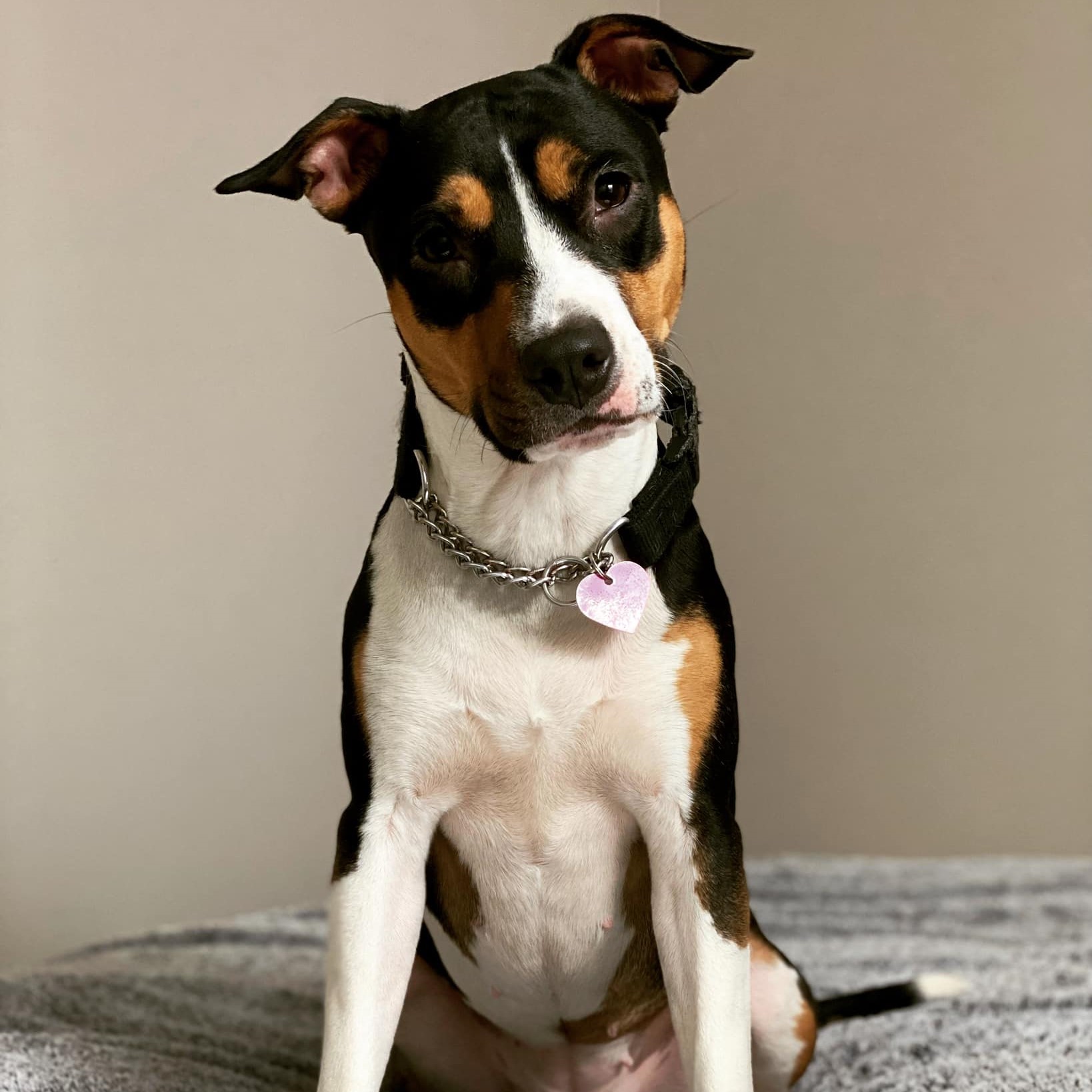 Training Holiday Bella