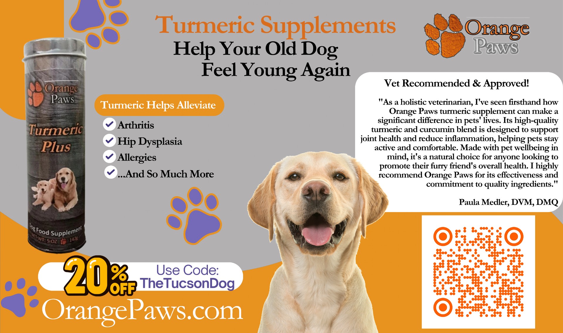 Help Your Old Dog Feel Young Again