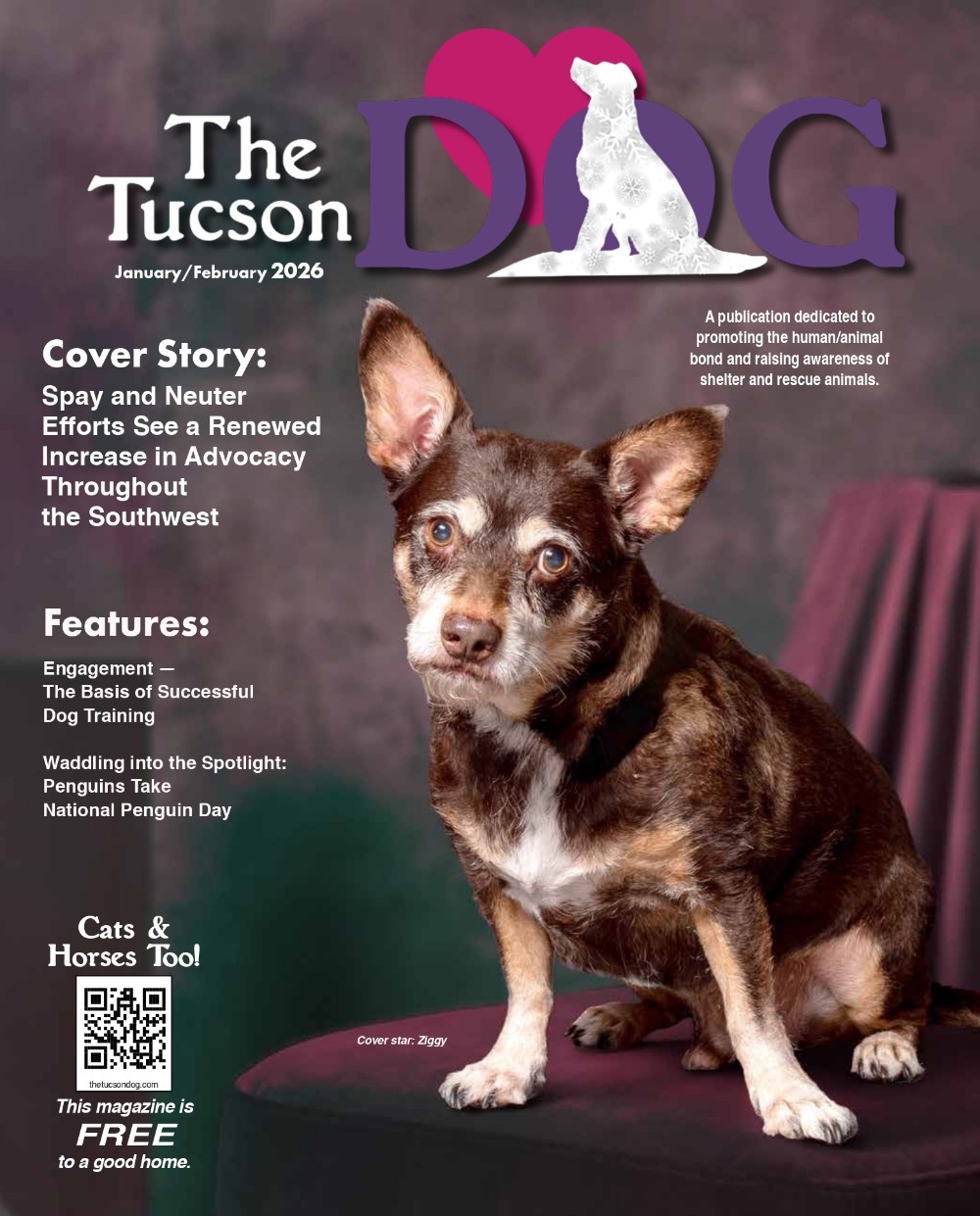 The Tucson Dog Jan-Feb 2026
