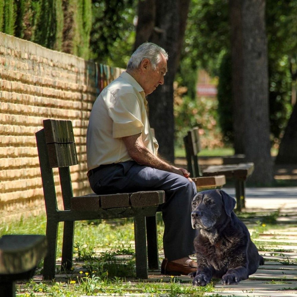 The Golden Pals Program: Making a Meaningful Difference in the Lives of Seniors