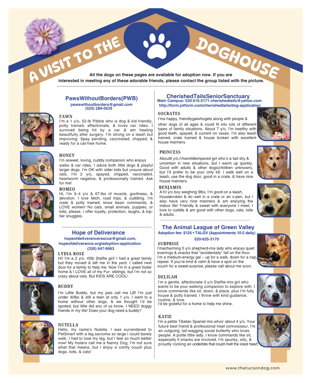 A visit to the Dog house- Dogs for Adoption MayJune 2026.pdf A visit to the Dog house- Dogs for Adoption MayJune 2026.pdf