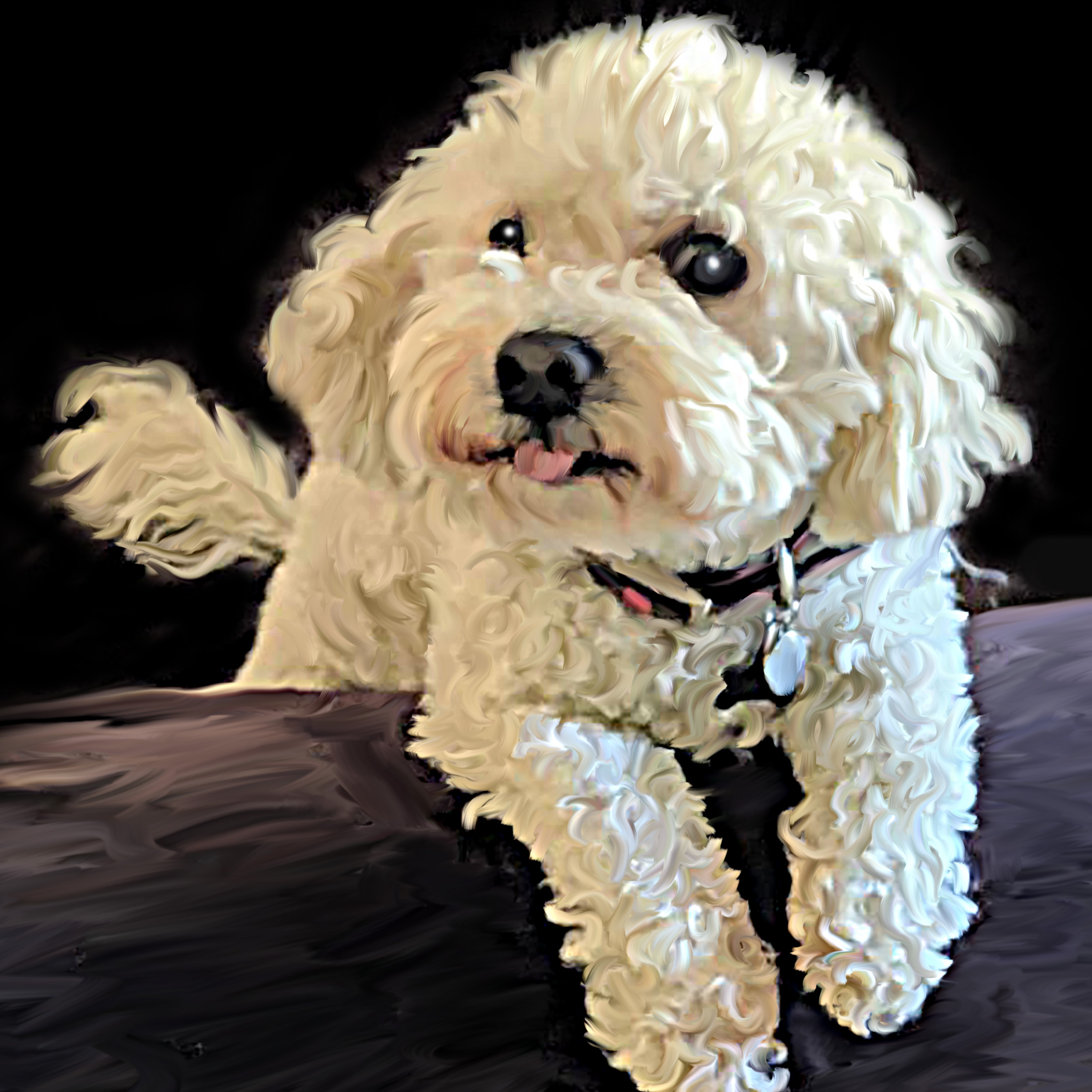 Celebration of Life: Marley, A Small Dog With A Big Personality