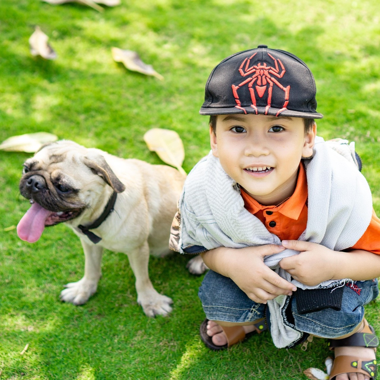 Animal Empathy Laws and Education: Change is in the Wind