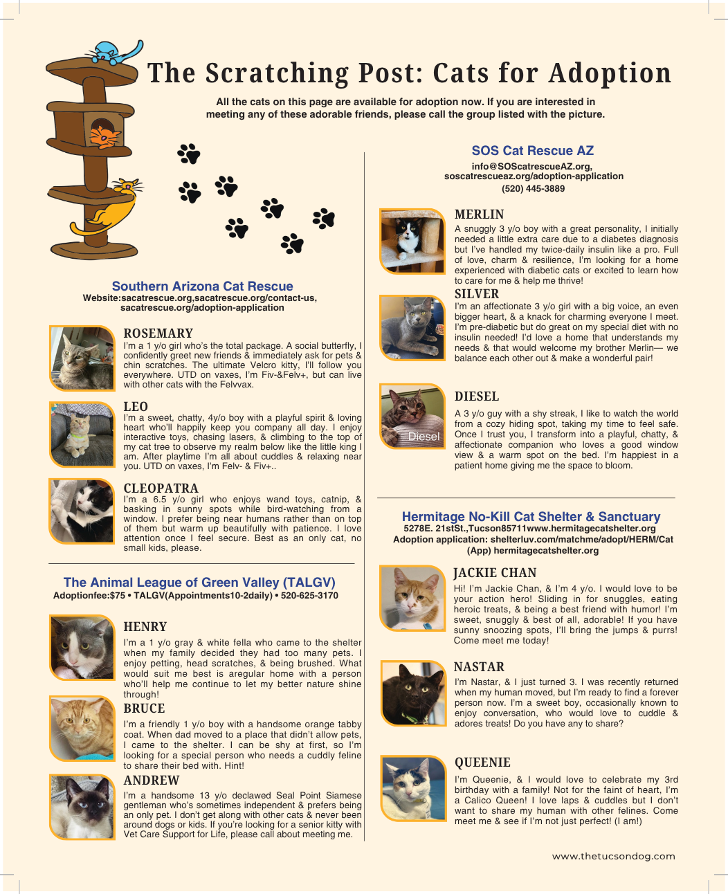 The Scratching Post- Cats For Adoption MayJune 2026.pdf (1) The Scratching Post- Cats For Adoption MayJune 2026.pdf (1)