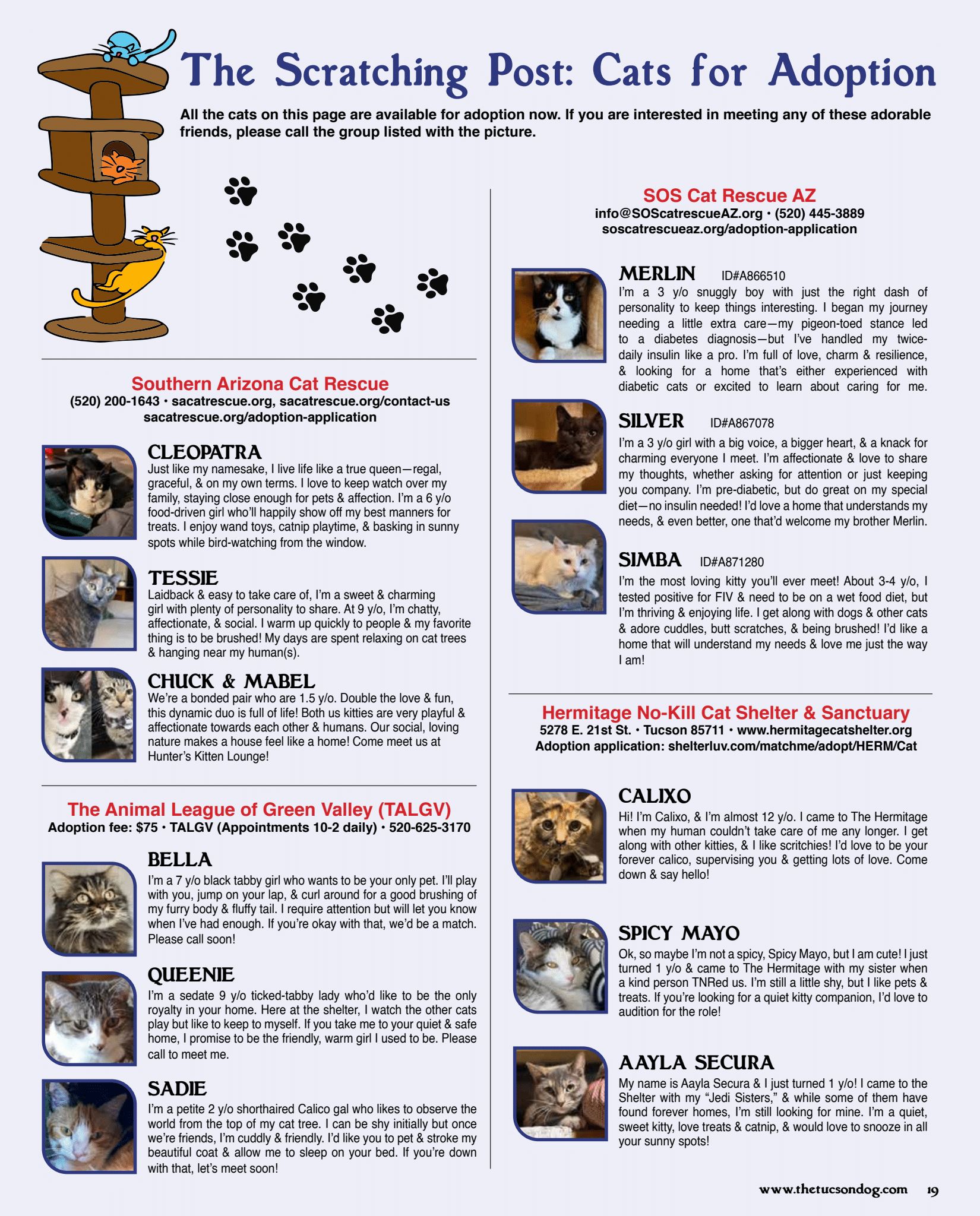 2026 Cats for adoption JulyAug The Scratching Post- Cats For Adoption MayJune 2026.pdf (1)