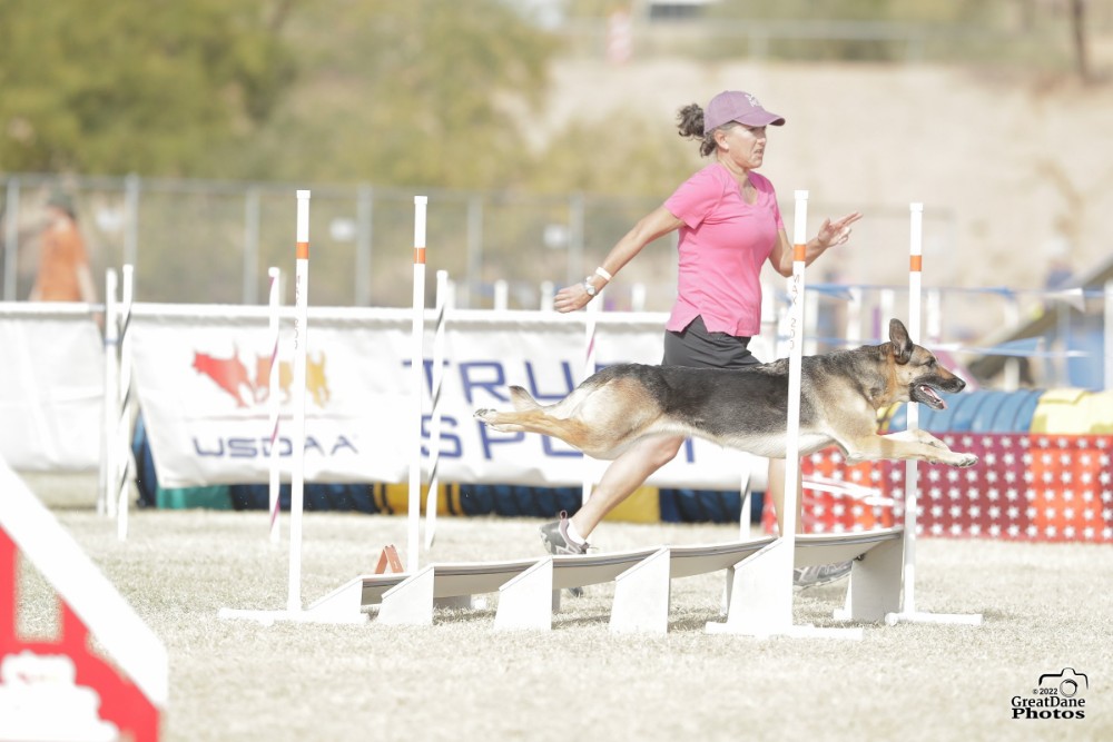 Agility -Partners in Motion - Loni Gaudet and Dolly, a rescued mix. The pair competed in Tucson in 2025 and made it to the podium.