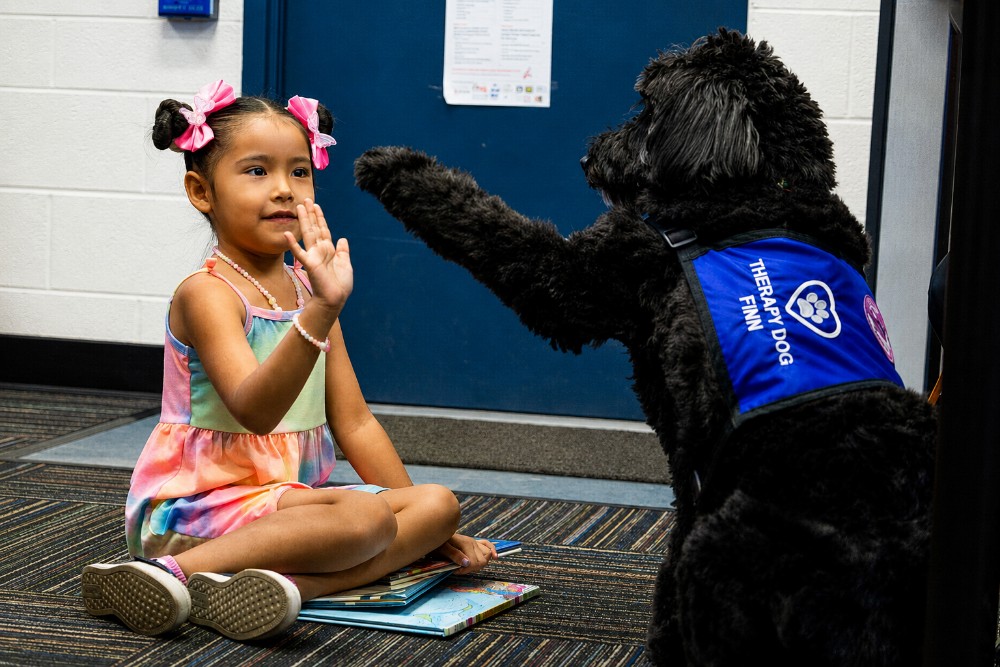 The Benefits of Reading with Dogs: How Our Canine Pals Help Us Excel