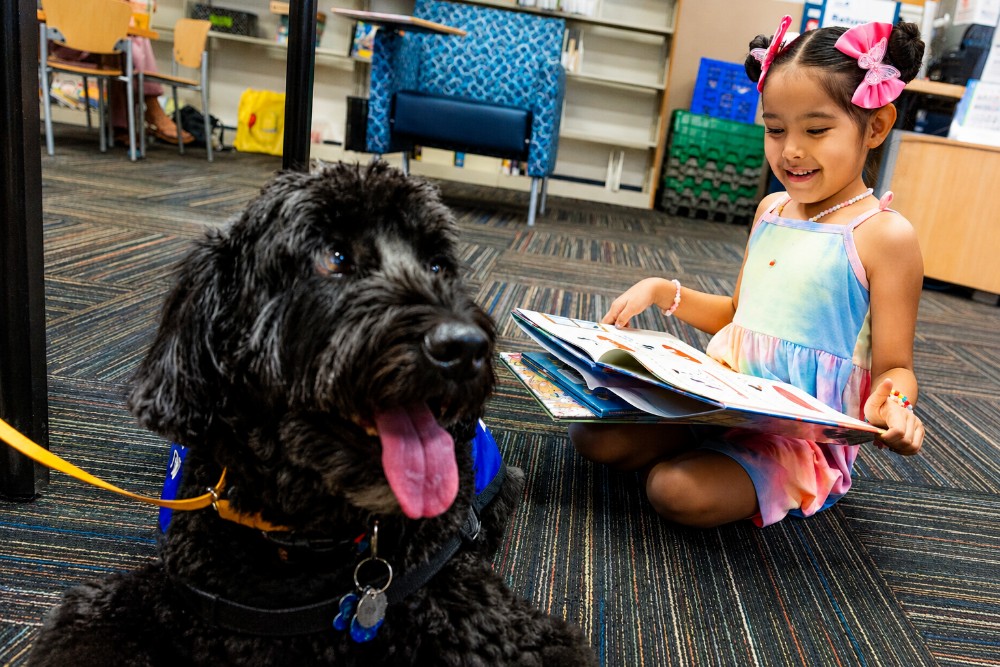 Read to dogs Unblurred 1