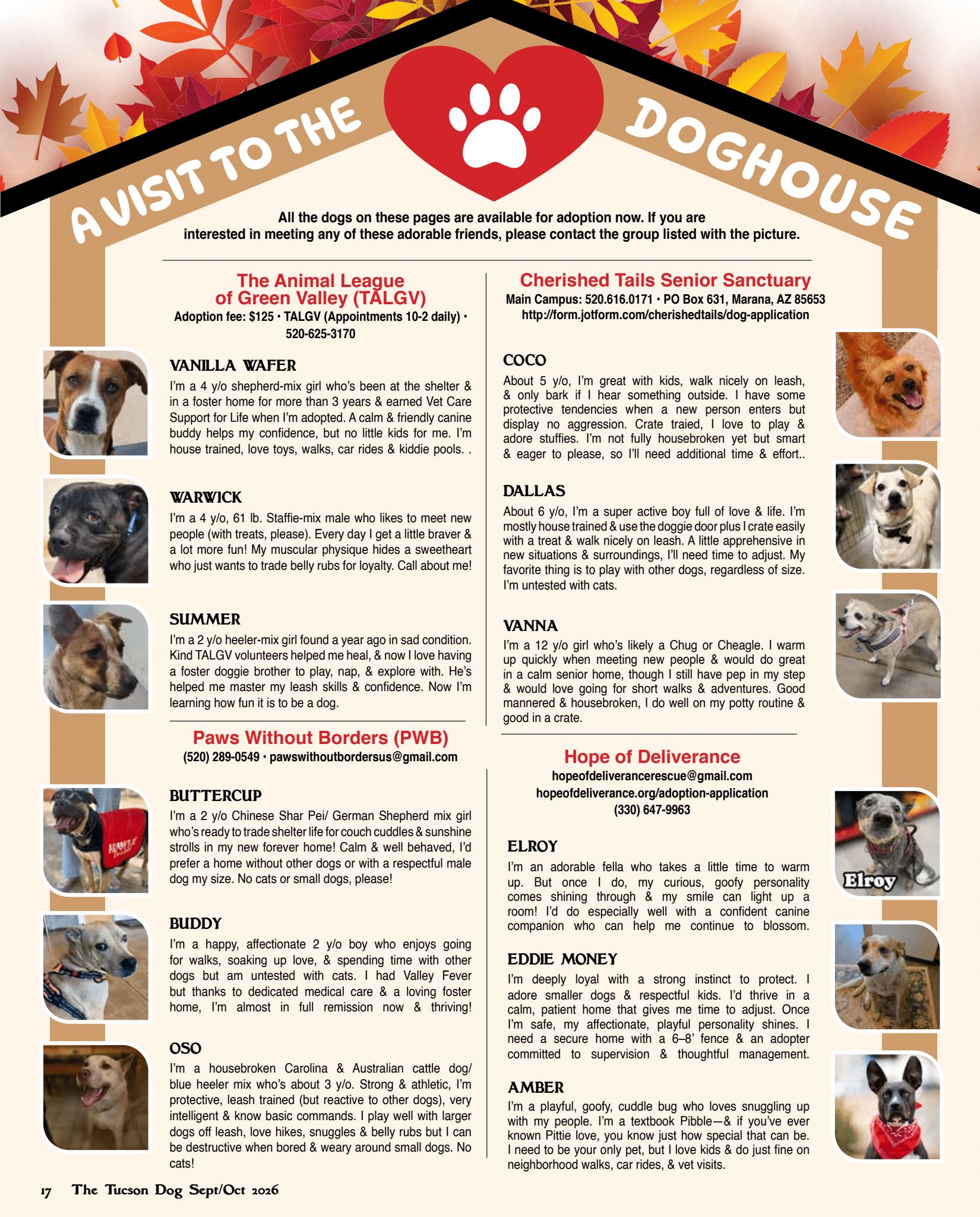 Sept-Oct In The Dog house