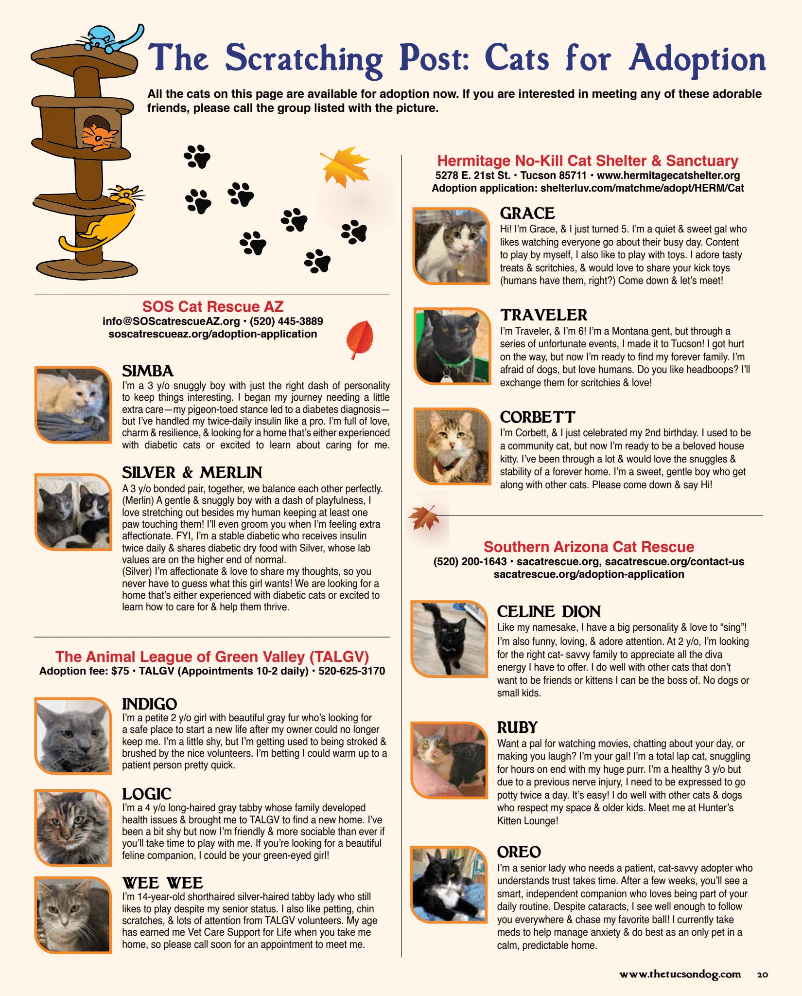 Sept - Oct Scratching Post (1)