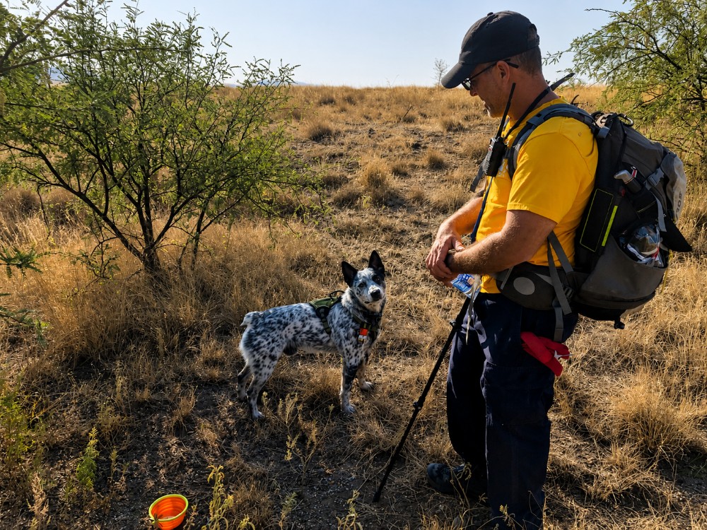 Unsung Heroes: The Search-and-Rescue Dogs of Southern Arizona