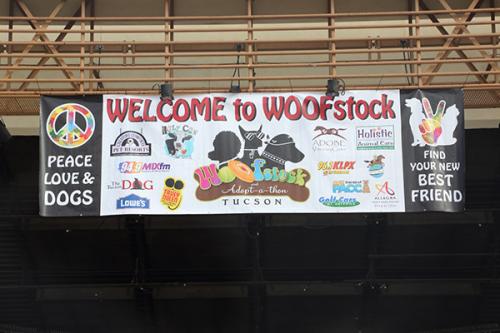 WoofStock-0110