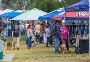 WOOFstock---Pic6---Everyone-enjoying-the-day