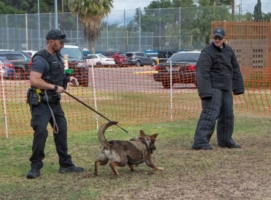 WOOFstock-pic9---Police-TD-goes-after-the